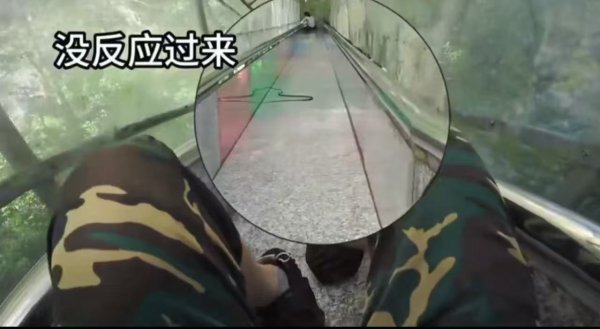 手机炒股软件推荐 广西一景区滑梯上游客身下突现一条蛇，景区已致歉