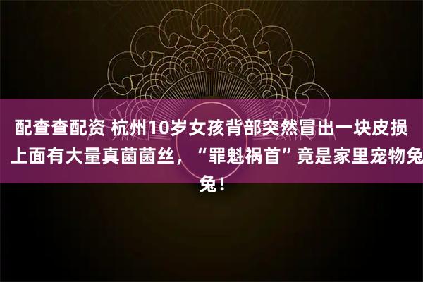 配查查配资 杭州10岁女孩背部突然冒出一块皮损，上面有大量真菌菌丝，“罪魁祸首”竟是家里宠物兔！